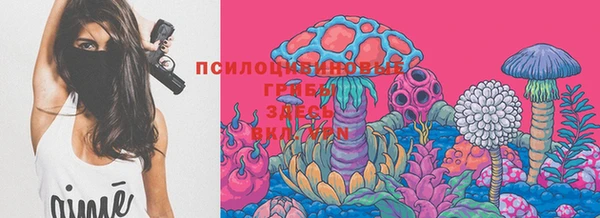 молекула духа Алзамай