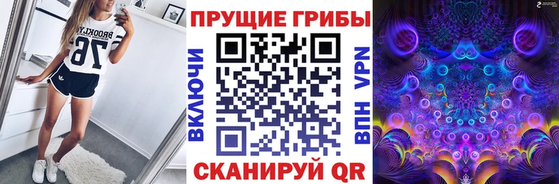 Псилоцибиновые грибы Magic Shrooms  Ардатов 